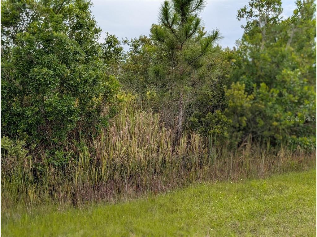 513 Calendula Drive Indian Lake Estates FL 33855 - LAKE WALK-IN-WATER TB8415384 image5