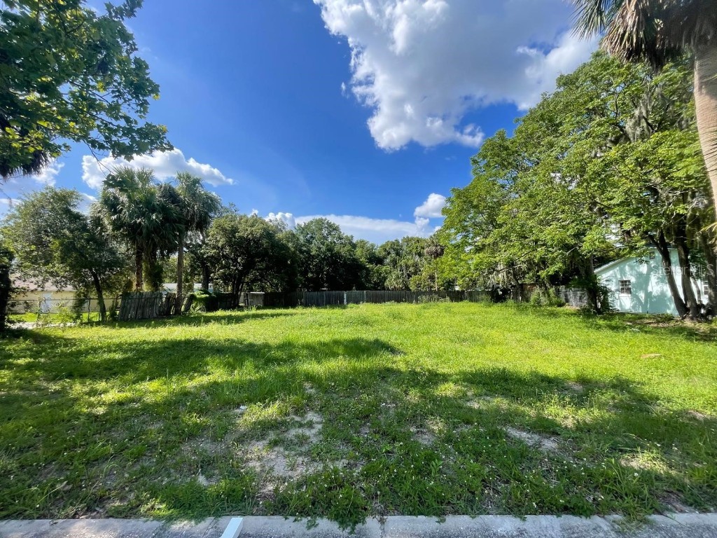 513 Lincoln Avenue Mount Dora FL 32757 S5128778 image2