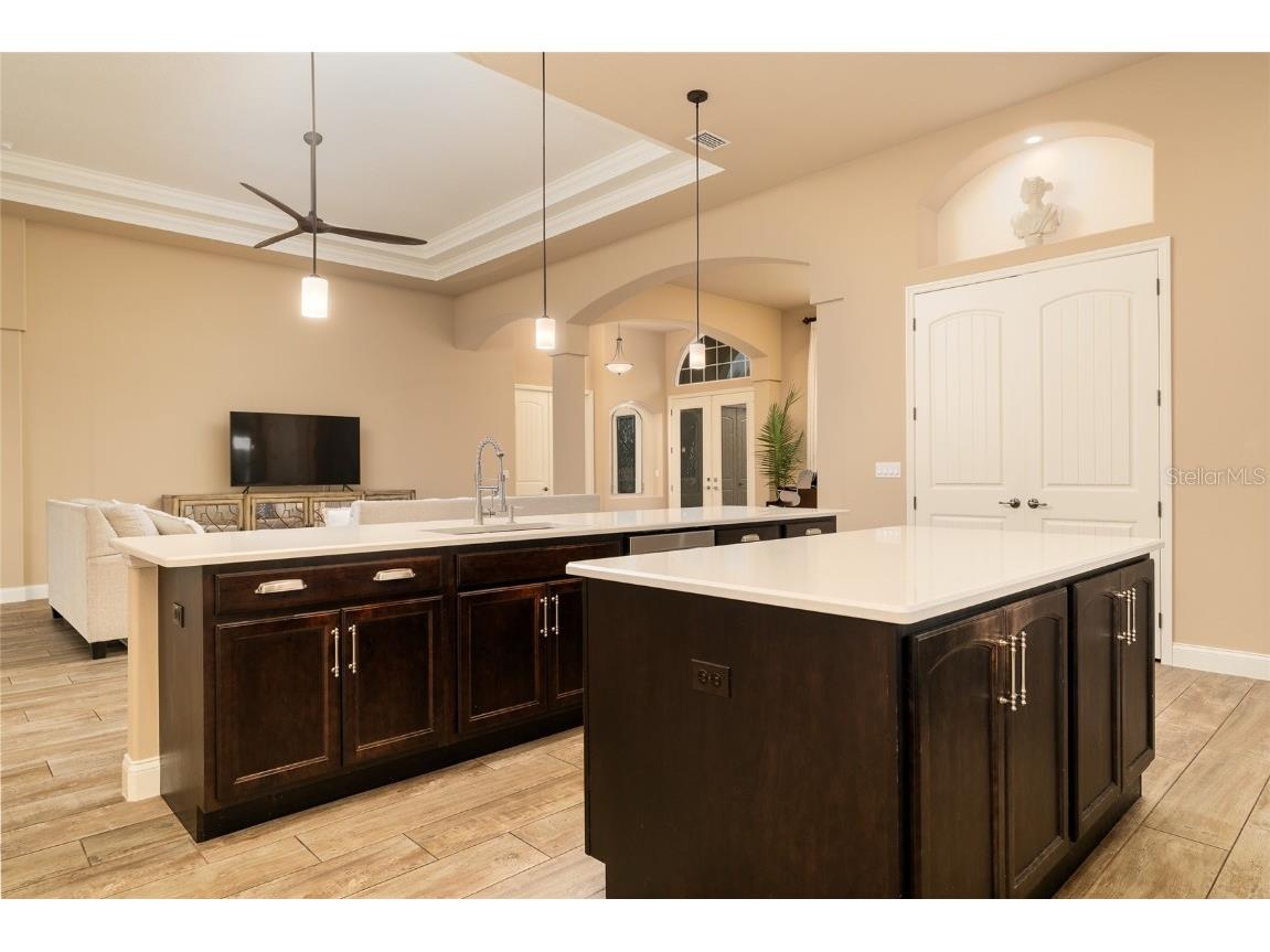 513 Luna Bella Lane New Smyrna Beach FL 32168 NS1086131 image12