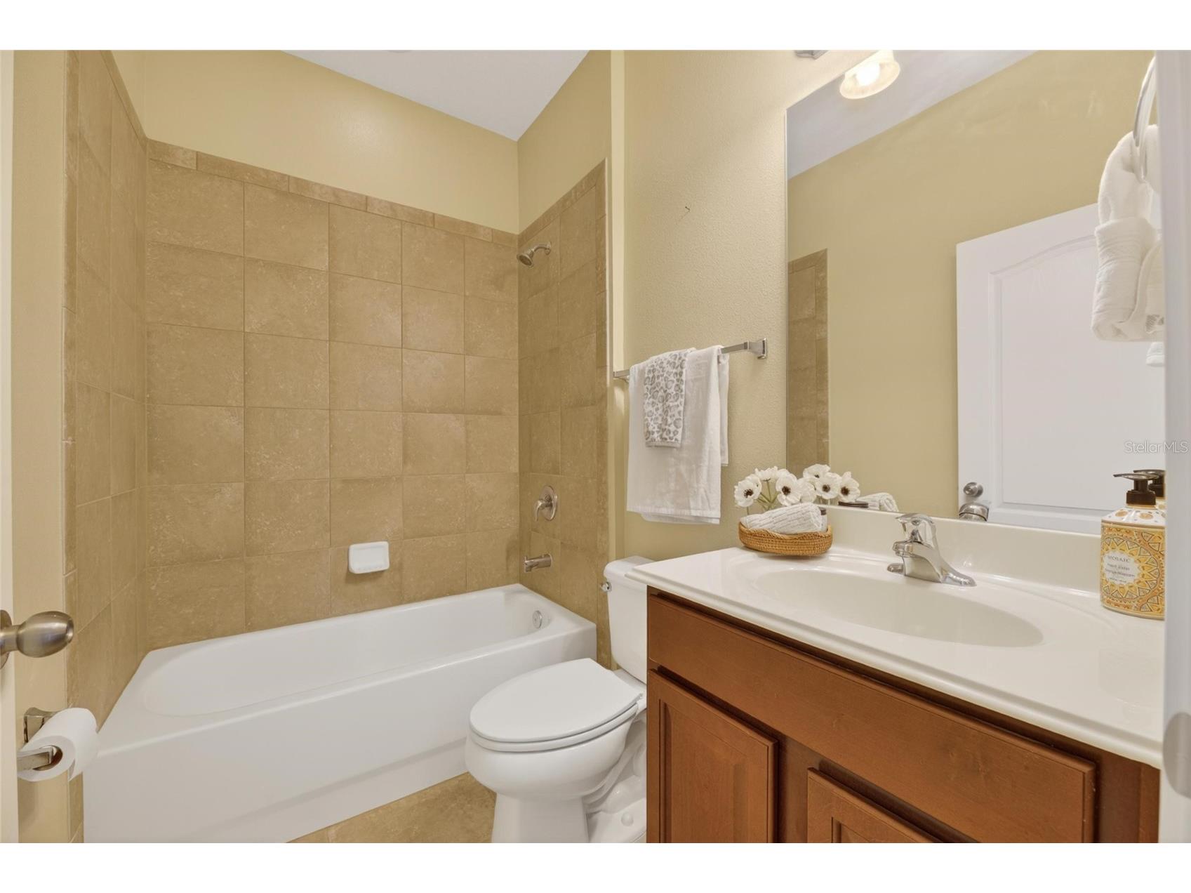 513 Manns Harbor Drive Apollo Beach FL 33572 TB8500755 image18