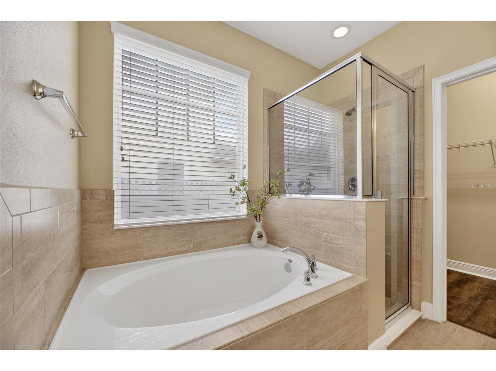 513 Manns Harbor Drive Apollo Beach FL 33572 TB8500755 image38