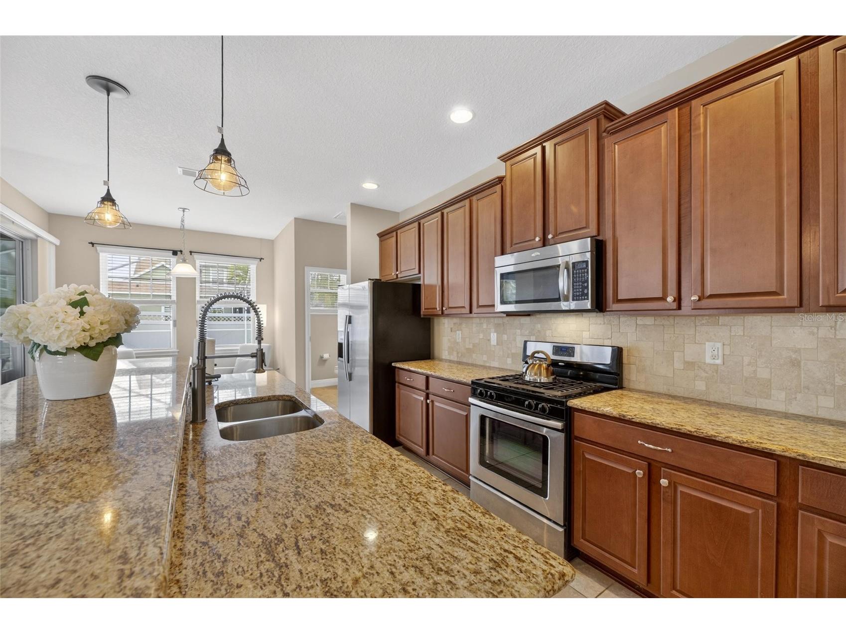 513 Manns Harbor Drive Apollo Beach FL 33572 TB8500755 image53