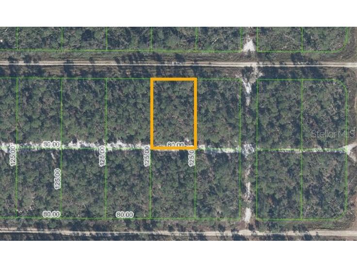 513 Nightingale Avenue Sebring FL 33872 T3506258 image1