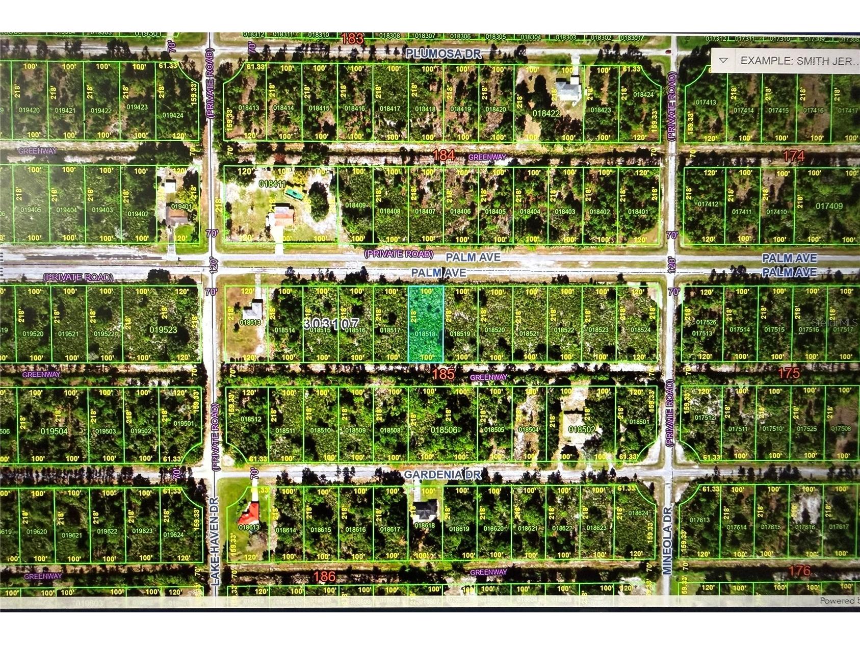 513 Palm Avenue Indian Lake Estates FL 33855 L4961845 image4