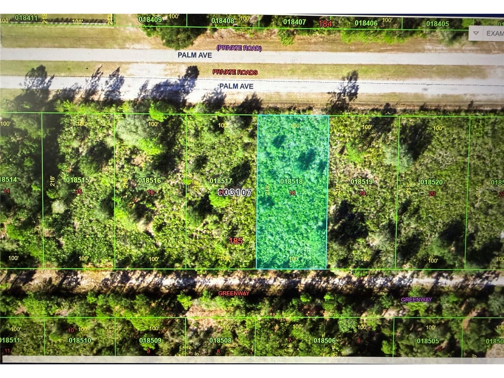 513 Palm Avenue Indian Lake Estates FL 33855 L4961845 image6