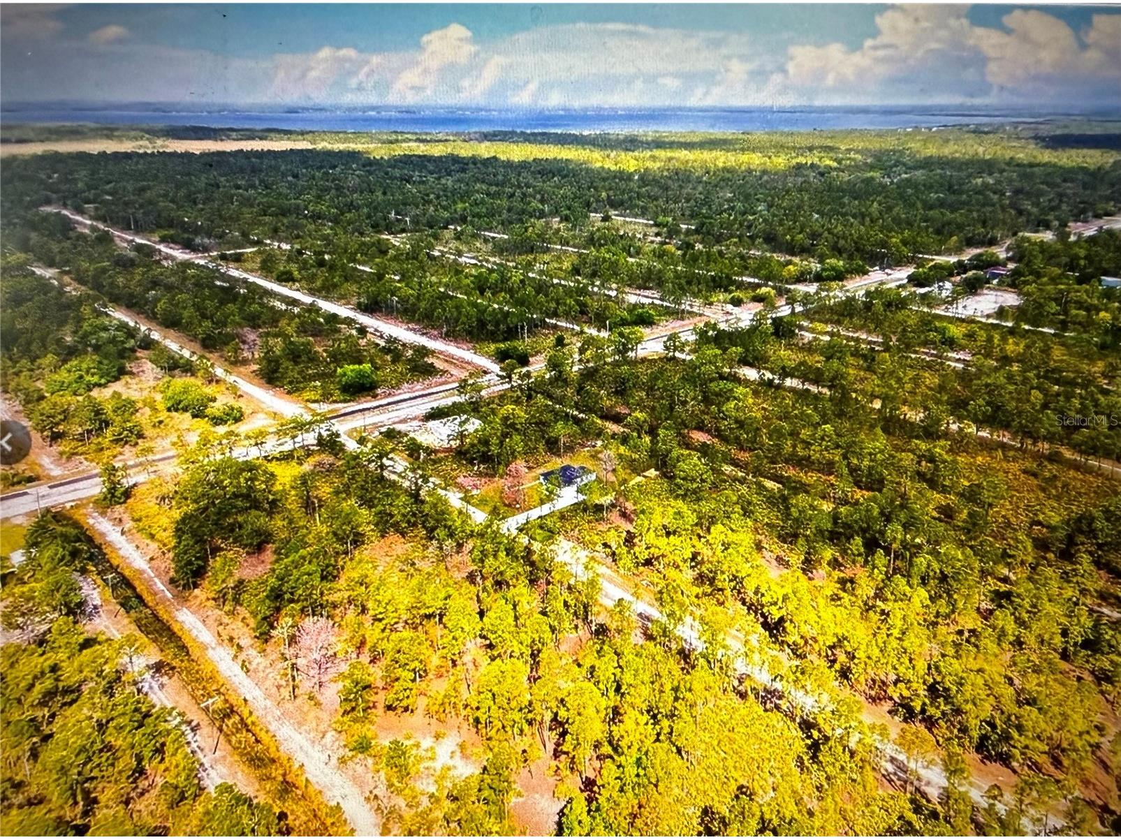 513 Palm Avenue Indian Lake Estates FL 33855 L4961845 image7