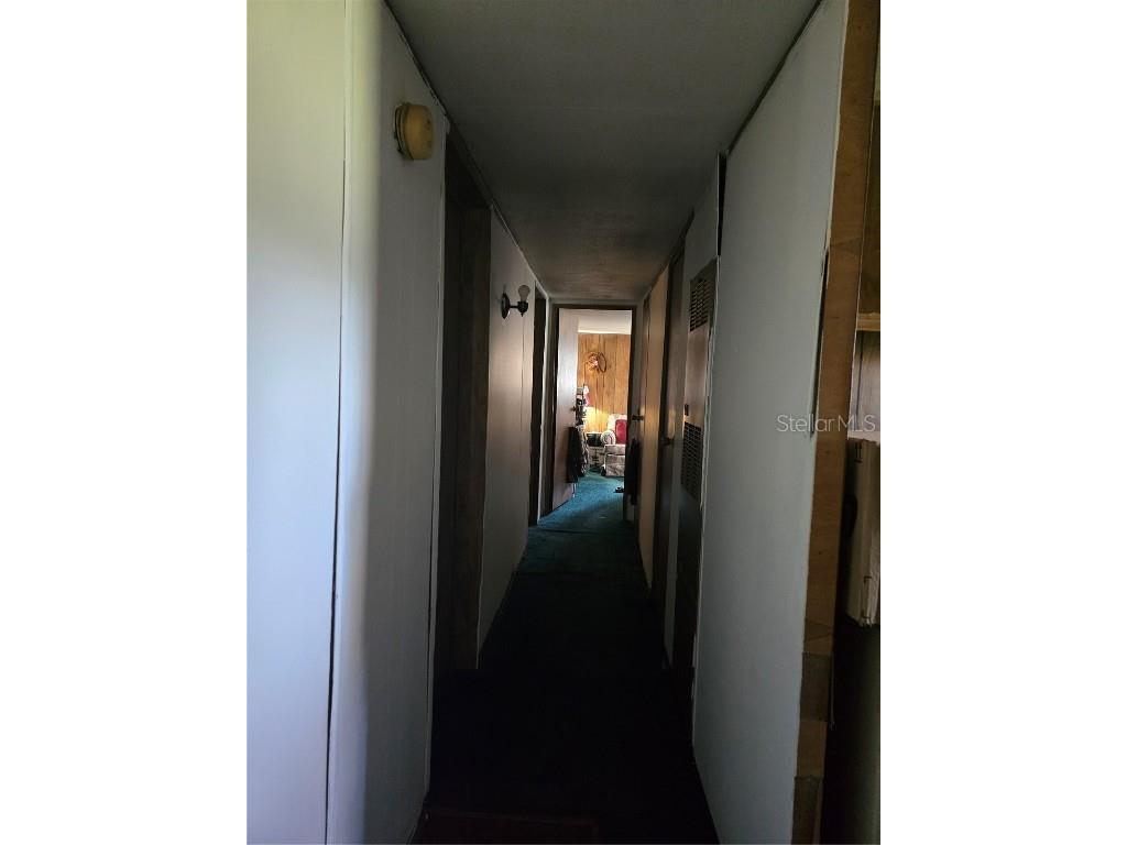 513 Smith Road Polk City FL 33868 P4936648 image22