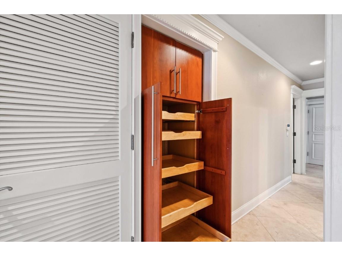 513 Suwanee Circle Tampa FL 33606 TB8342113 image36