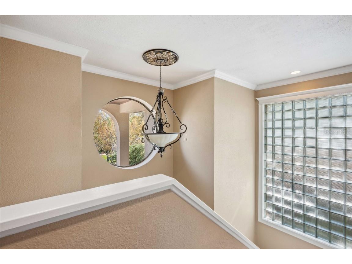 513 Suwanee Circle Tampa FL 33606 TB8342113 image55