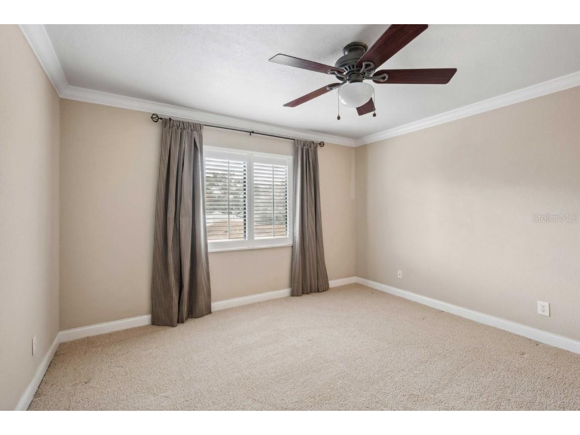 513 Suwanee Circle Tampa FL 33606 TB8342113 image68