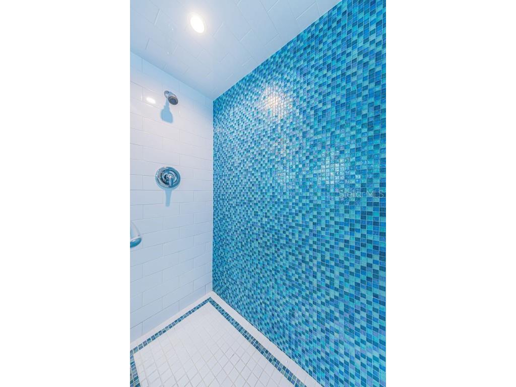 5130 Brittany Drive S #201 Saint Petersburg FL 33715 TB8349355 image25