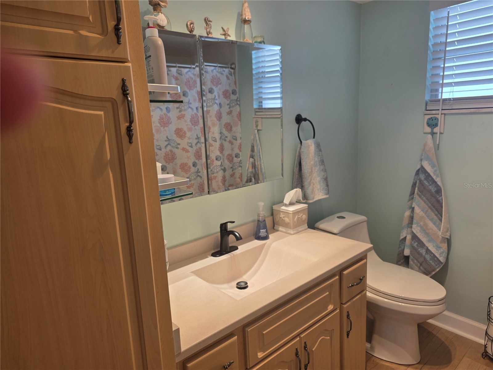 5130 Brittany Drive S #604 Saint Petersburg FL 33715 TB8505455 image10