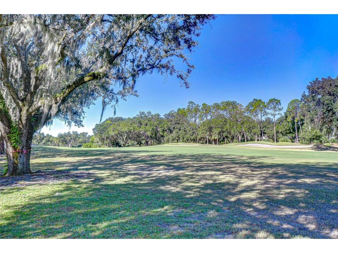 5130 Fairway One Drive Valrico FL 33596 TB8444087 image2