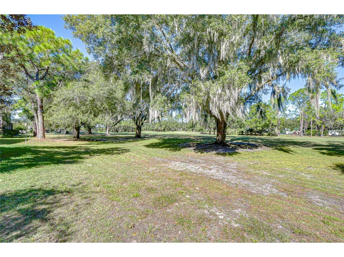 5130 Fairway One Drive Valrico FL 33596 TB8444087 image29