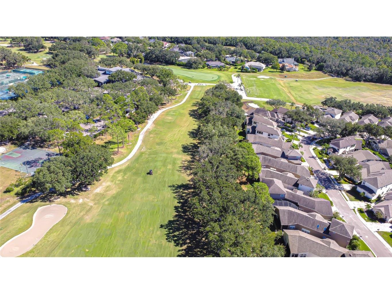 5130 Fairway One Drive Valrico FL 33596 TB8444087 image35