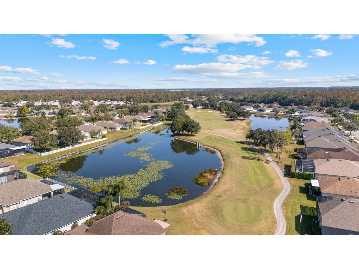 5130 Spectacular Bid Drive Wesley Chapel FL 33544 TB8449628 image50