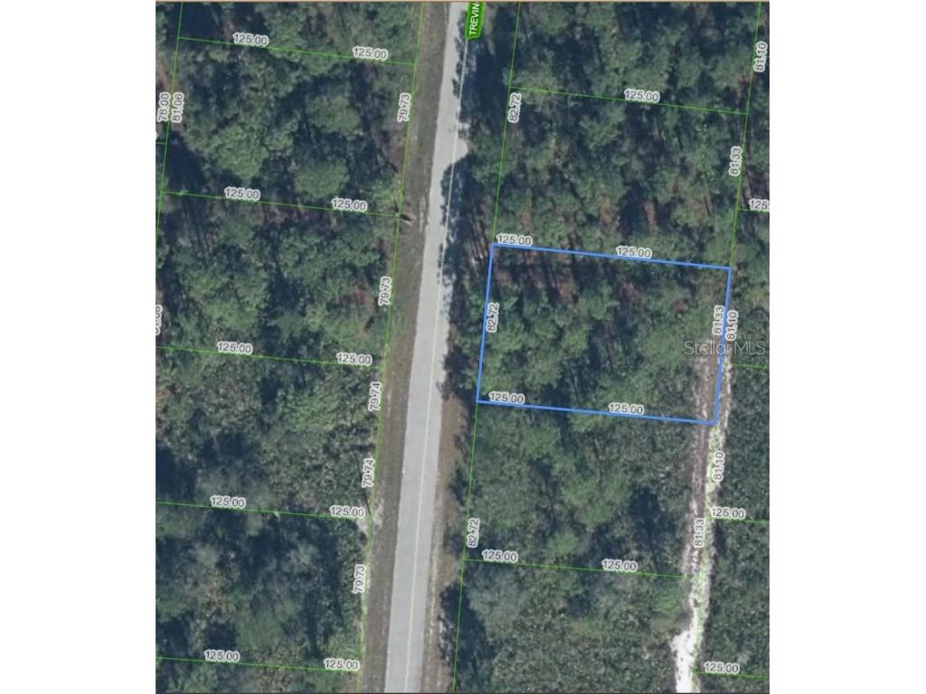 5132 Trevino Avenue Sebring FL 33872 O6334198 image1