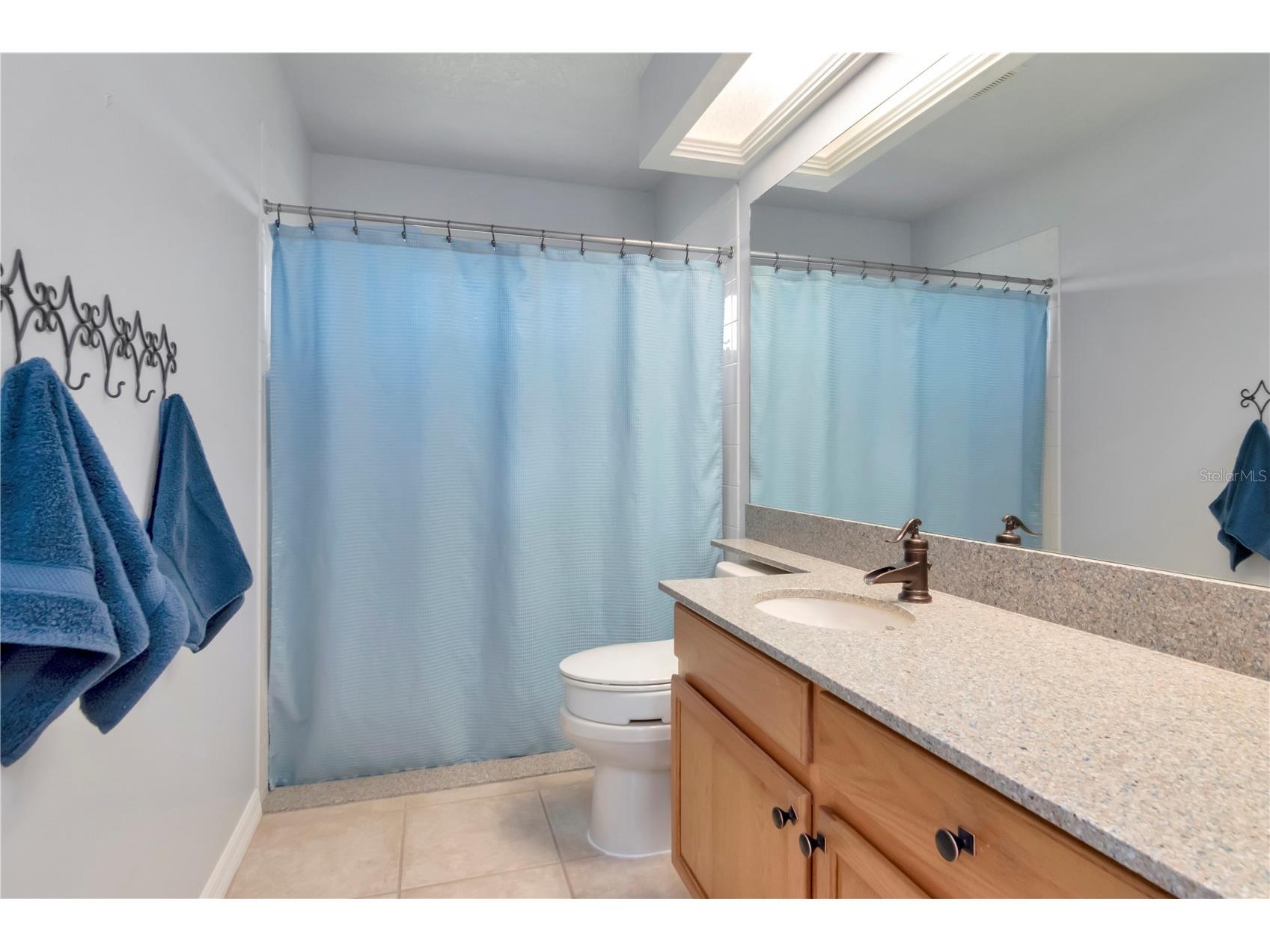 5132 Whispering Leaf Trail Valrico FL 33596 TB8442855 image20