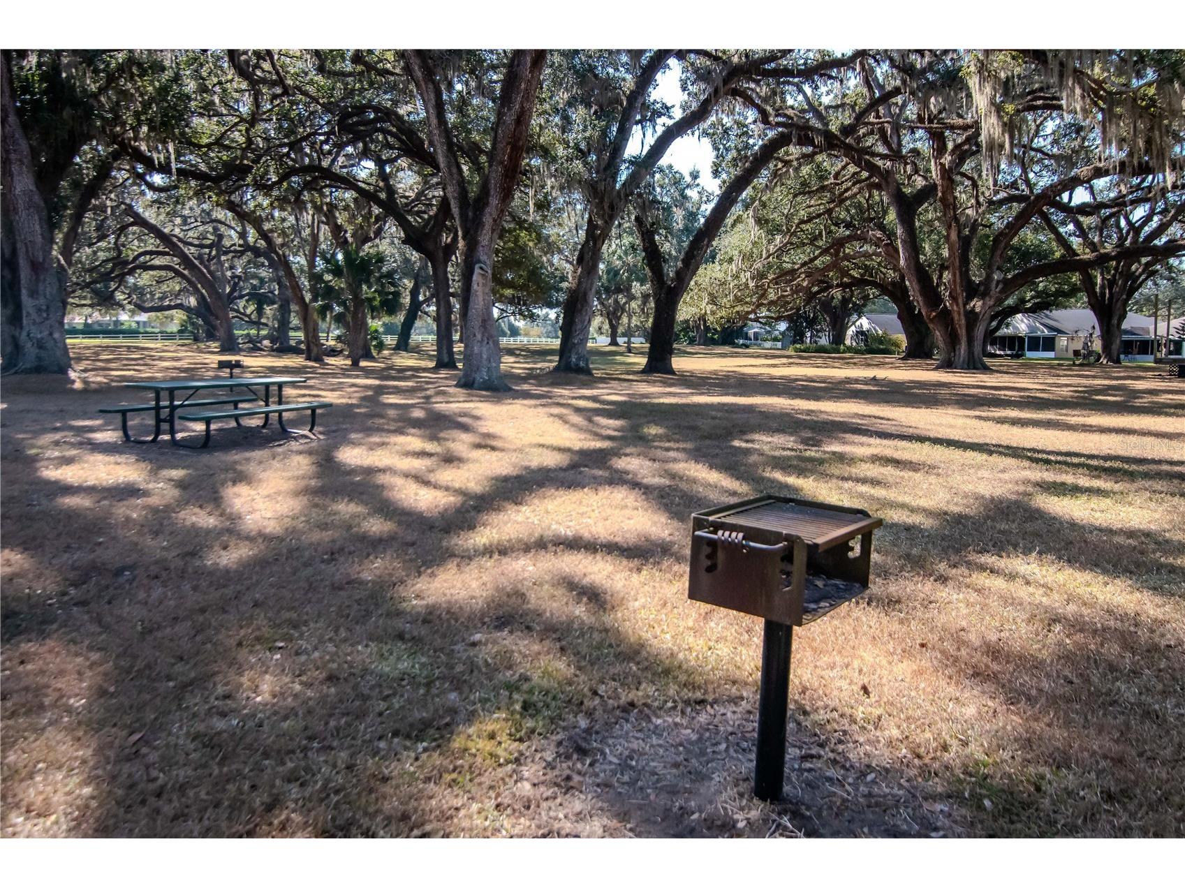 5132 Whispering Leaf Trail Valrico FL 33596 TB8442855 image64