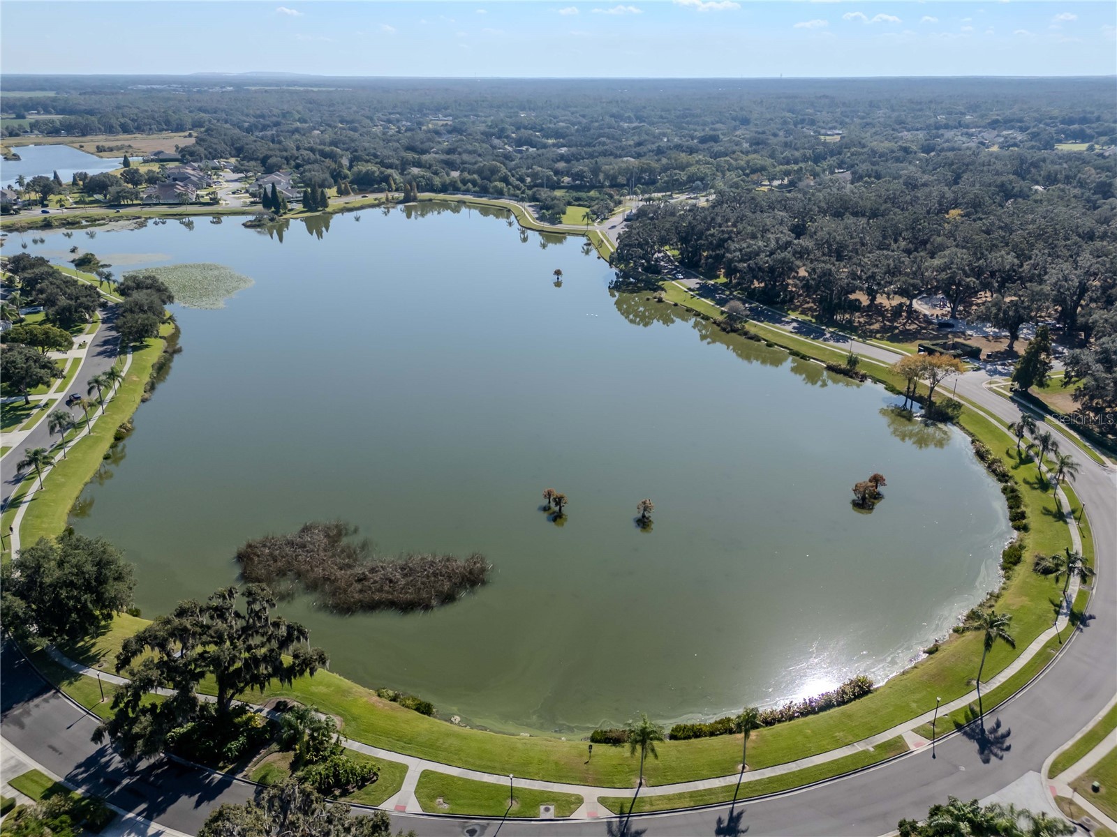 5132 Whispering Leaf Trail Valrico FL 33596 TB8442855 image66