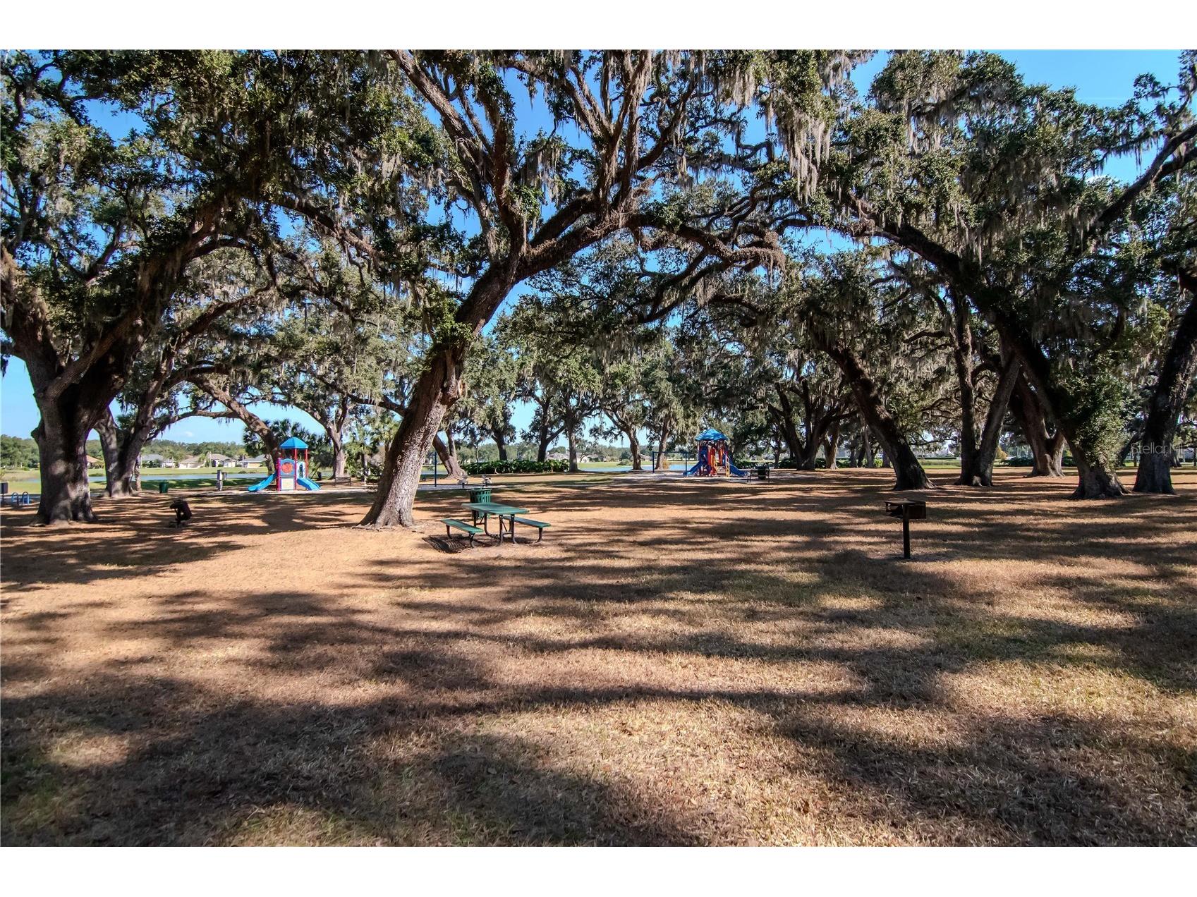 5132 Whispering Leaf Trail Valrico FL 33596 TB8442855 image67