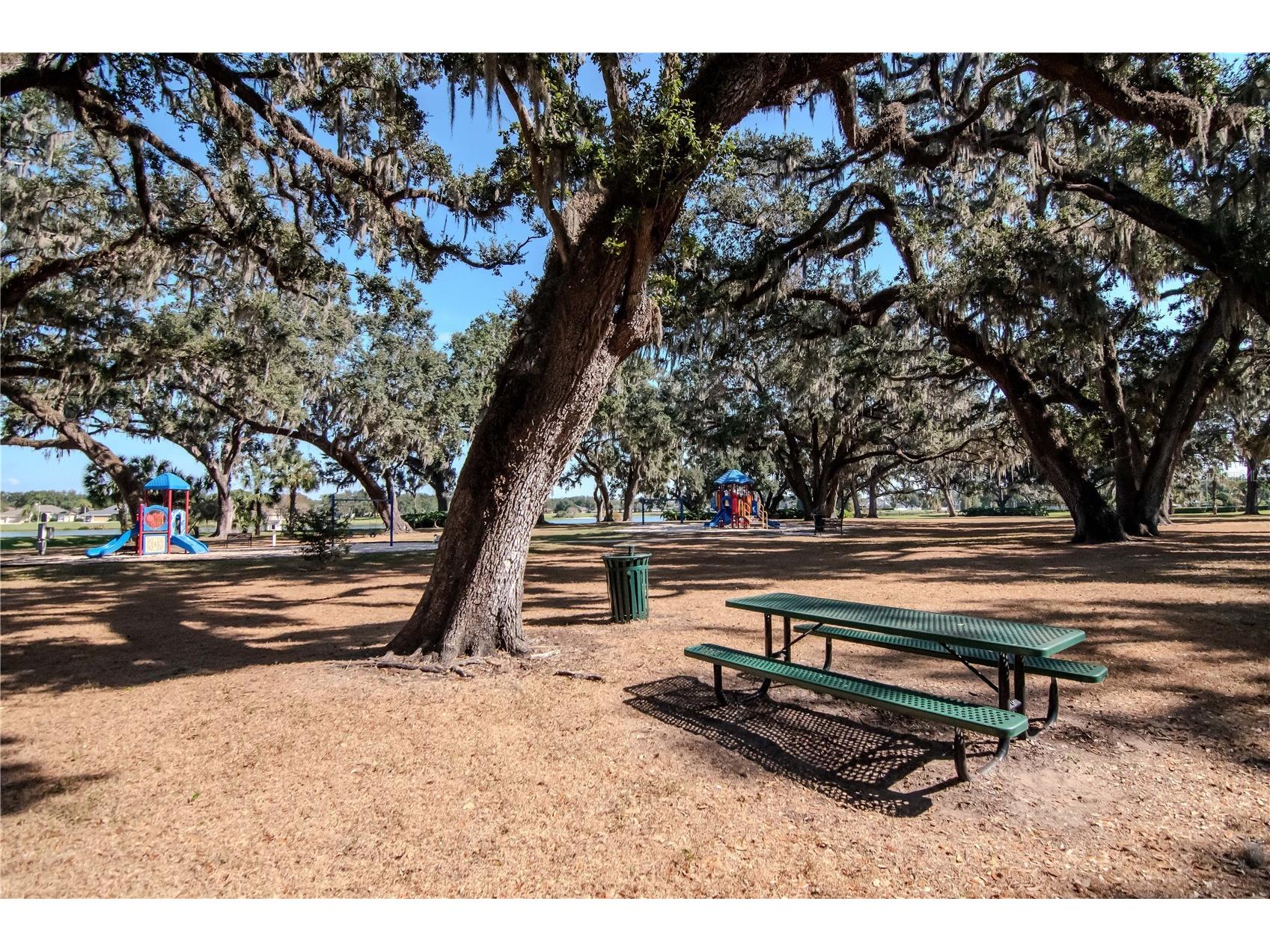 5132 Whispering Leaf Trail Valrico FL 33596 TB8442855 image68