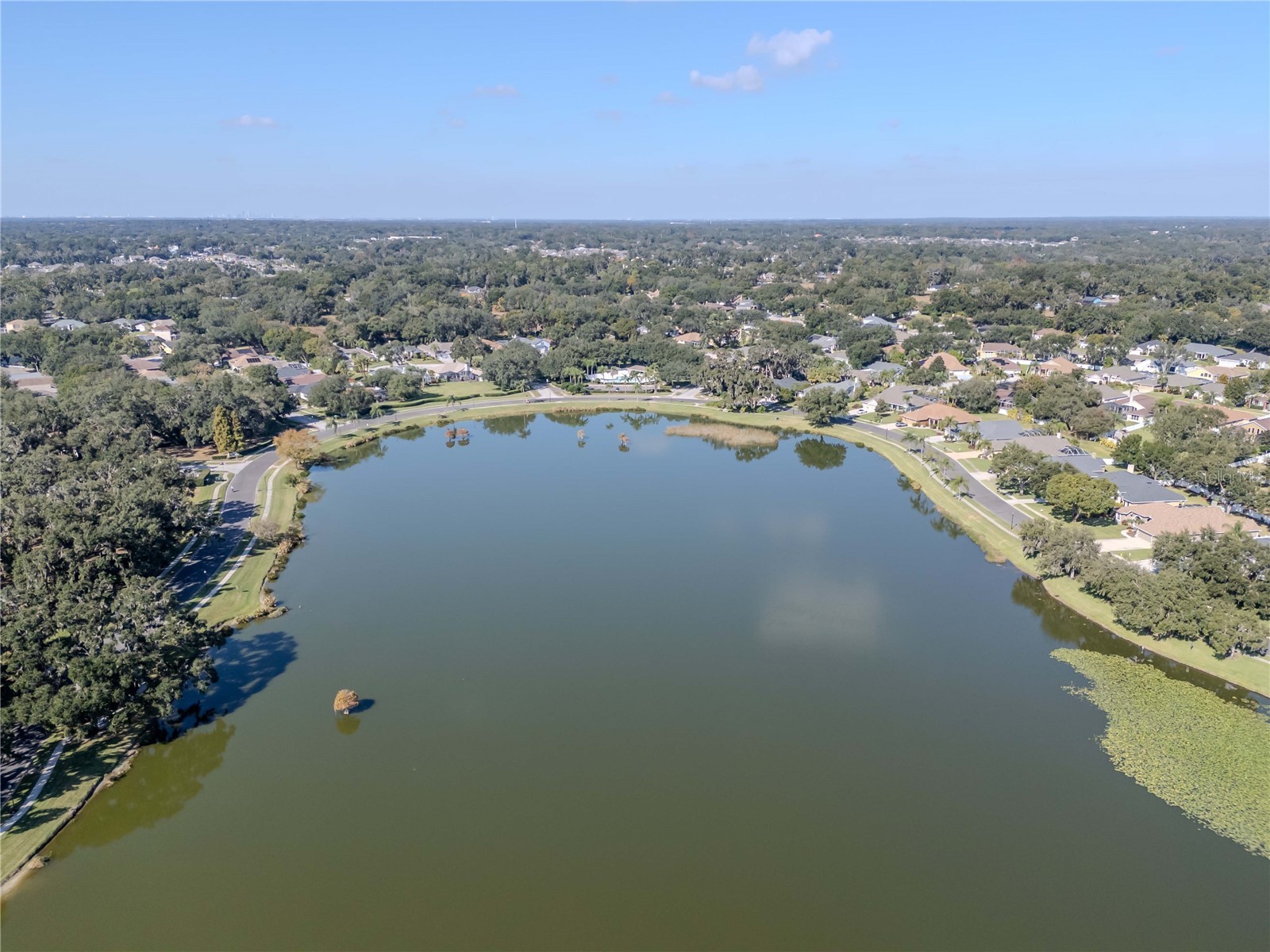 5132 Whispering Leaf Trail Valrico FL 33596 TB8442855 image69