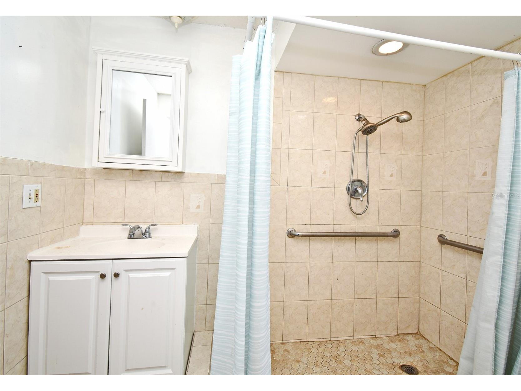 5133 Brenda Drive Orlando FL 32812 O6340018 image41