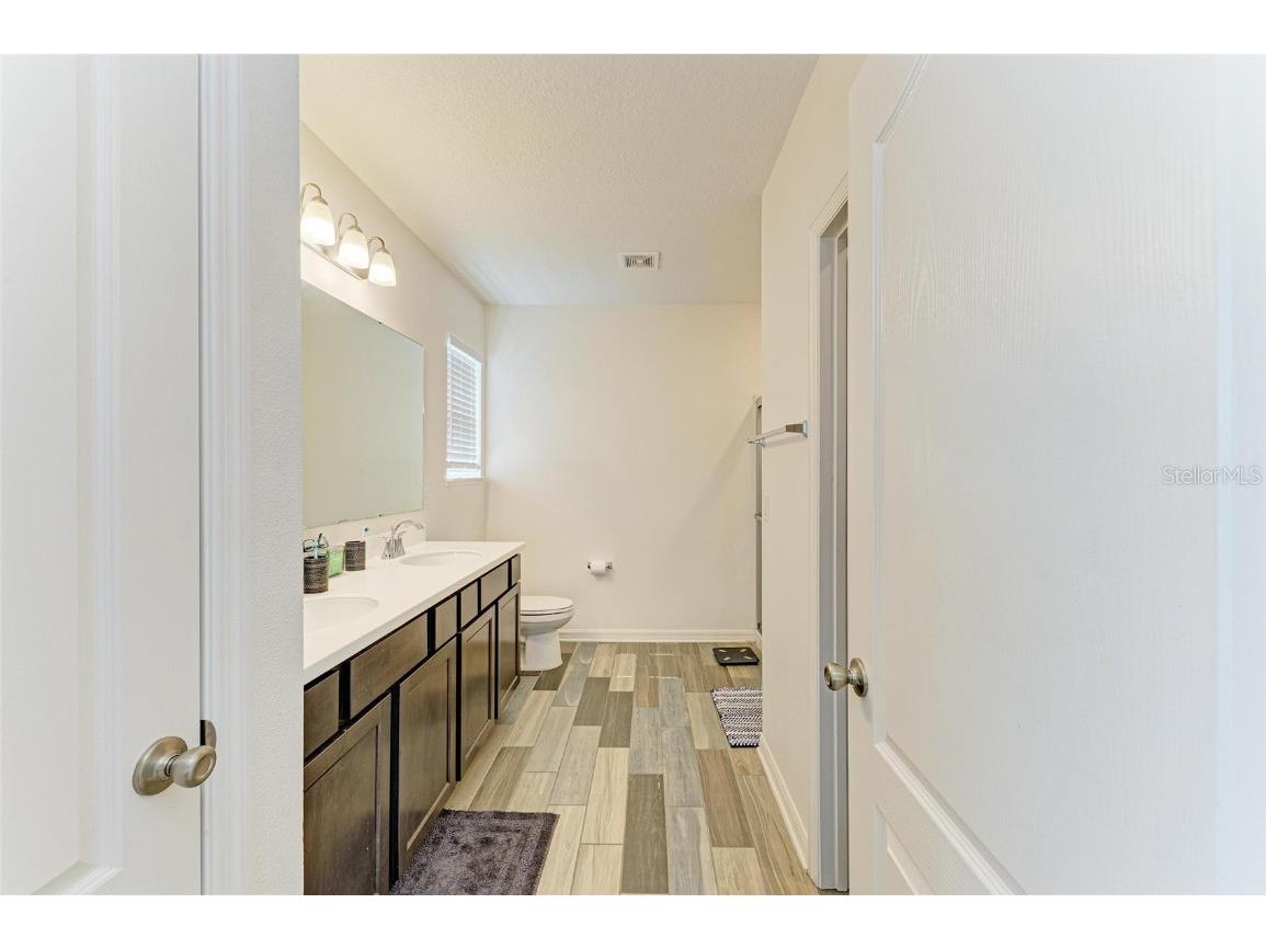 5134 Brickwood Rise Drive Wimauma FL 33598 A4658354 image20