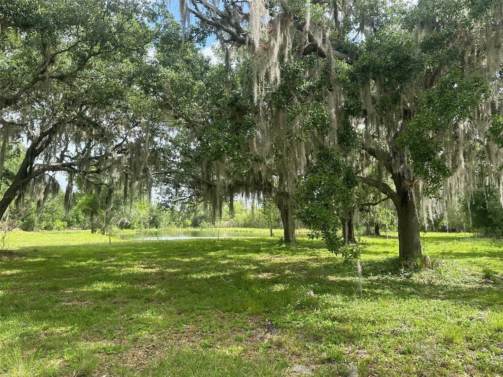 5134 SW Oakwood Avenue Arcadia FL 34269 C7524170 image62