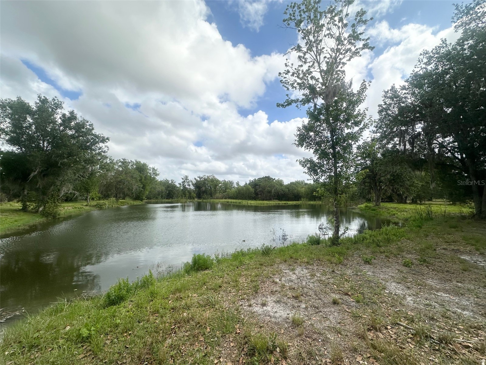 5134 SW Oakwood Avenue Arcadia FL 34269 C7524170 image67