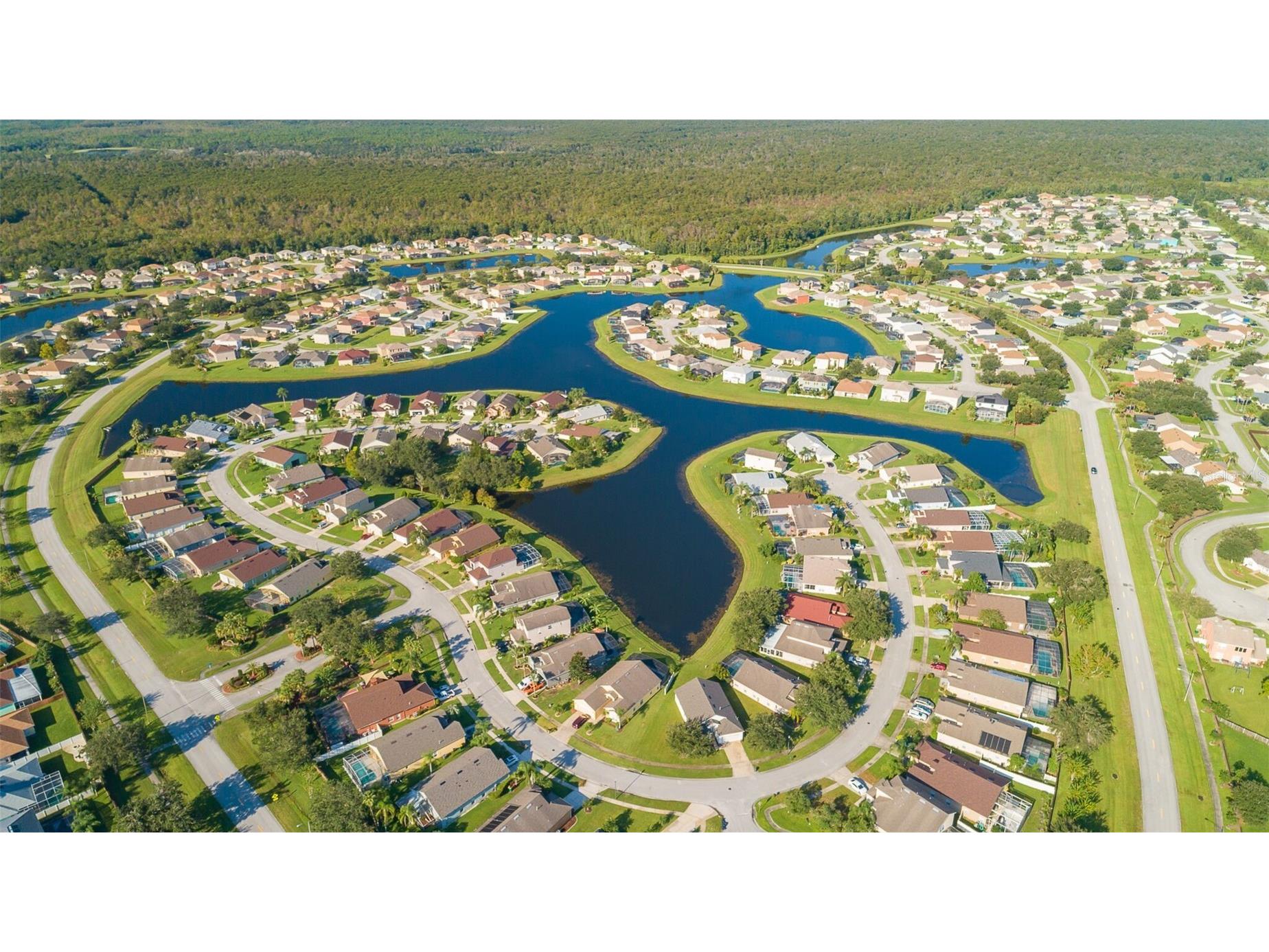 5134 Violet Lane Kissimmee FL 34758 S5153654 image34