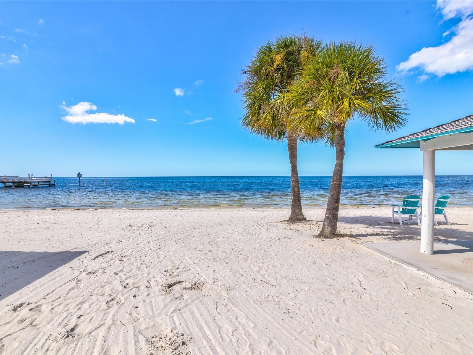 5135 Gemstone Drive #103 New Port Richey FL 34652 TB8491850 image39