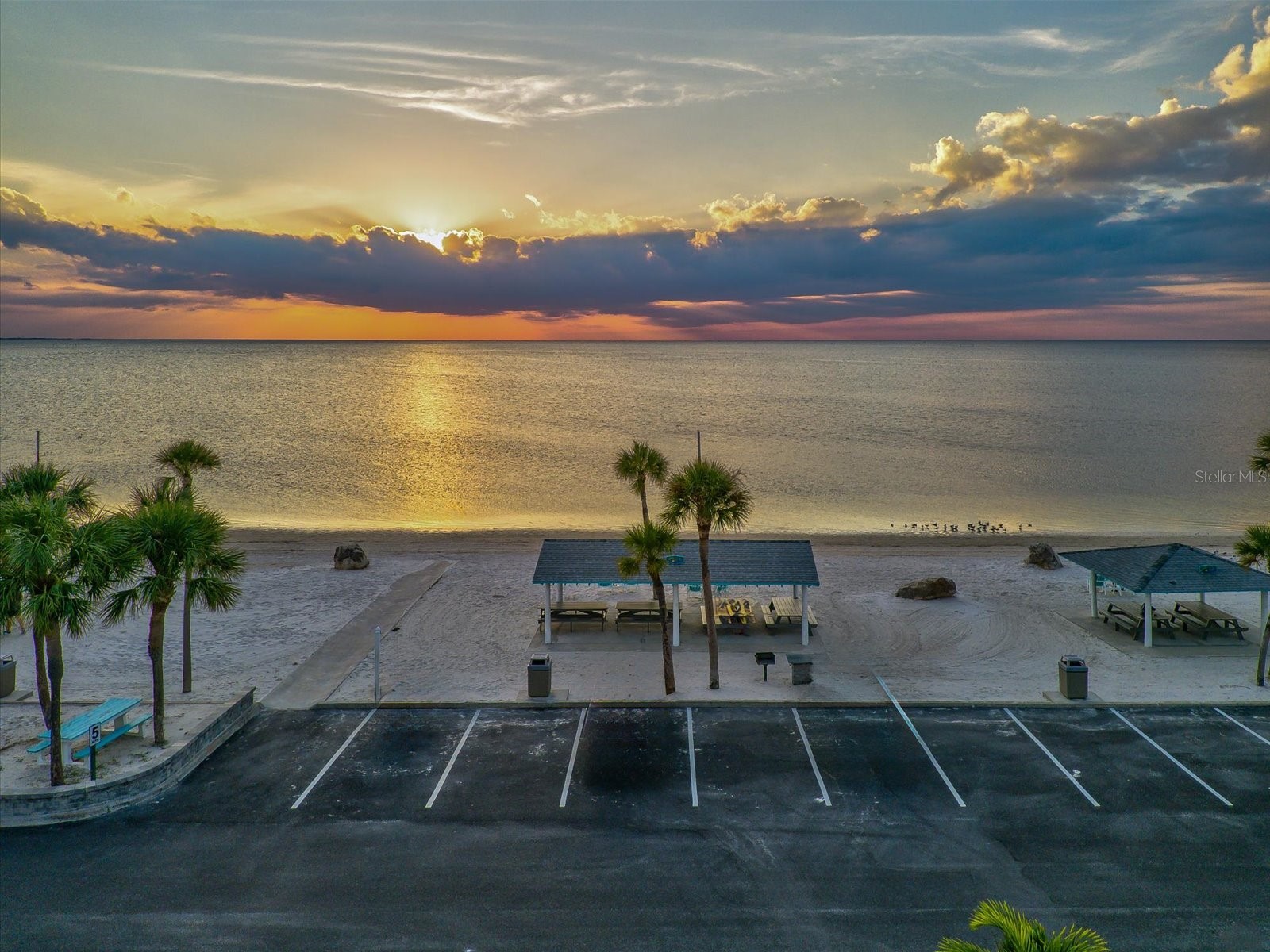 5135 Gemstone Drive #103 New Port Richey FL 34652 TB8491850 image44