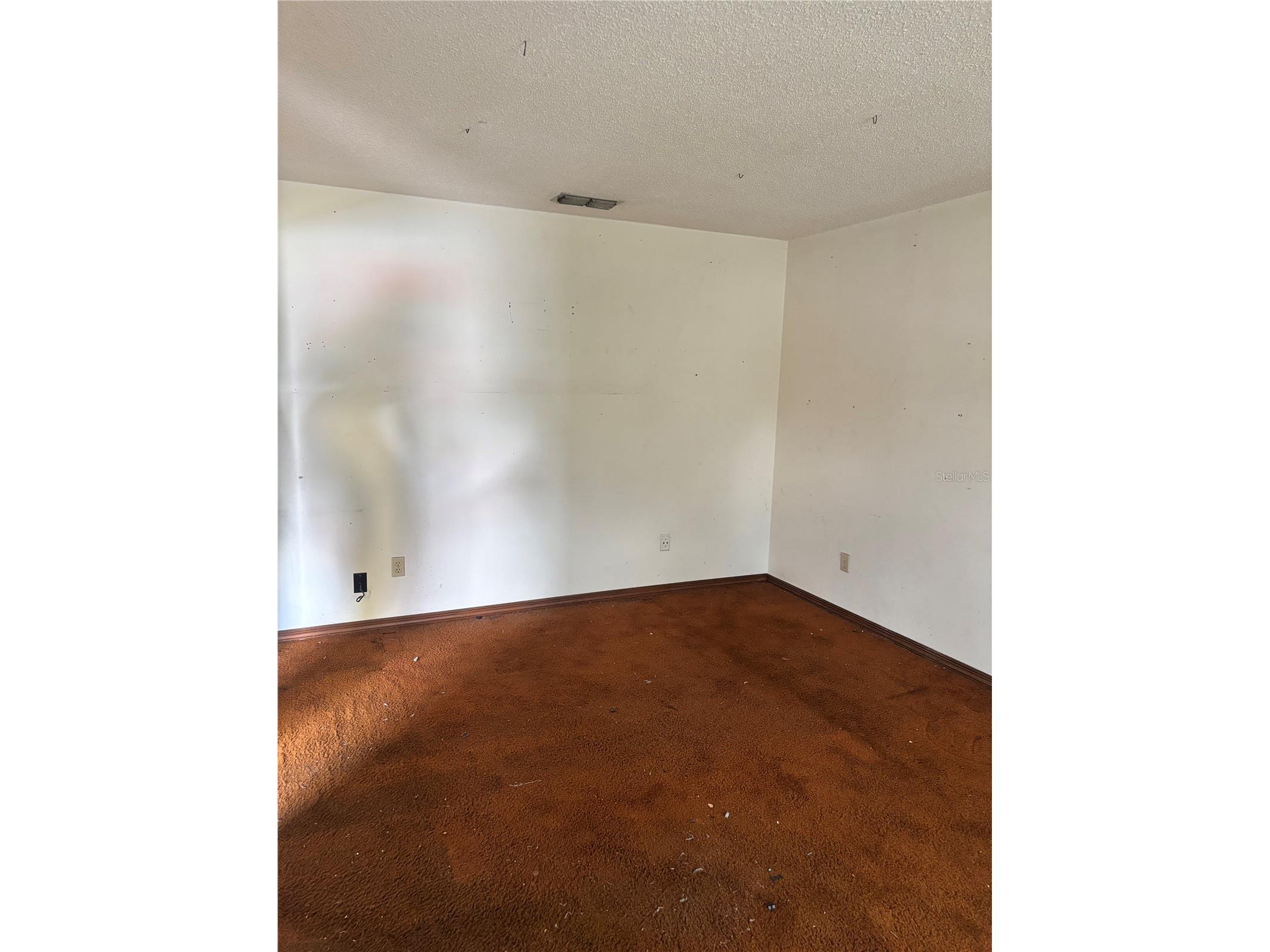 5136 Nadine Street Orlando FL 32807 TB8506390 image8