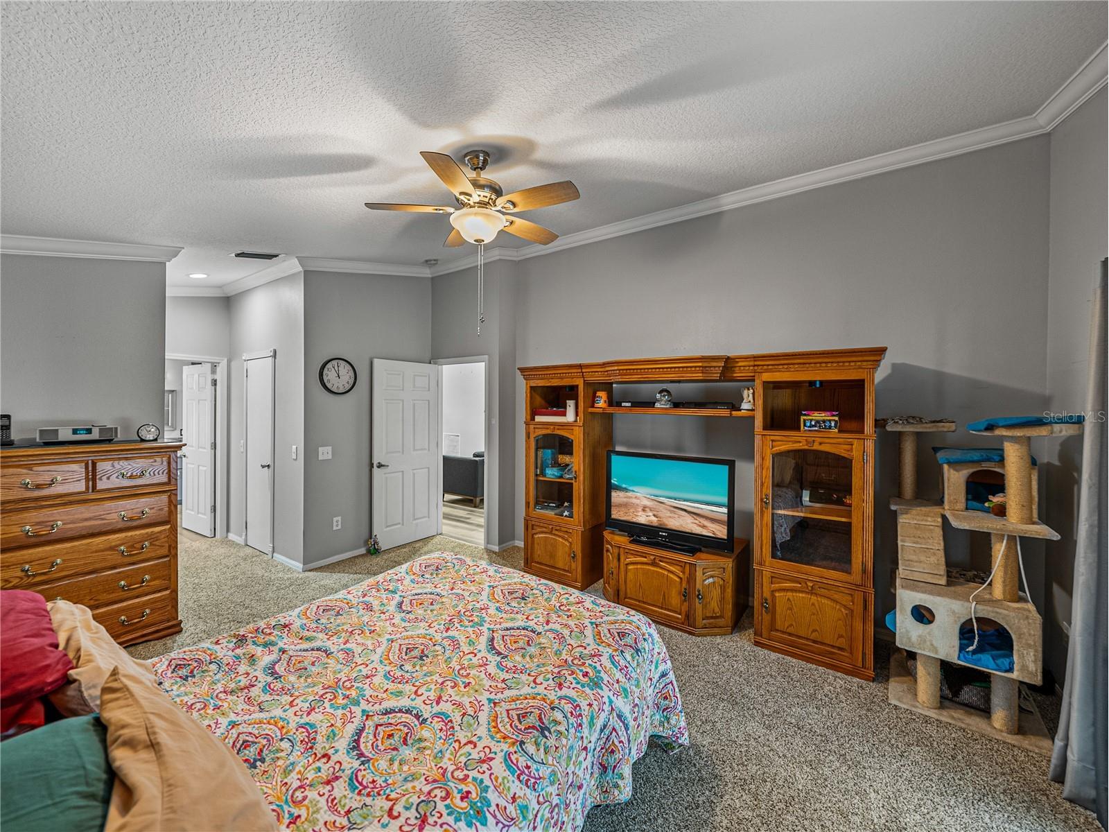 5137 New Brittany Lane Zephyrhills FL 33541 TB8519509 image22