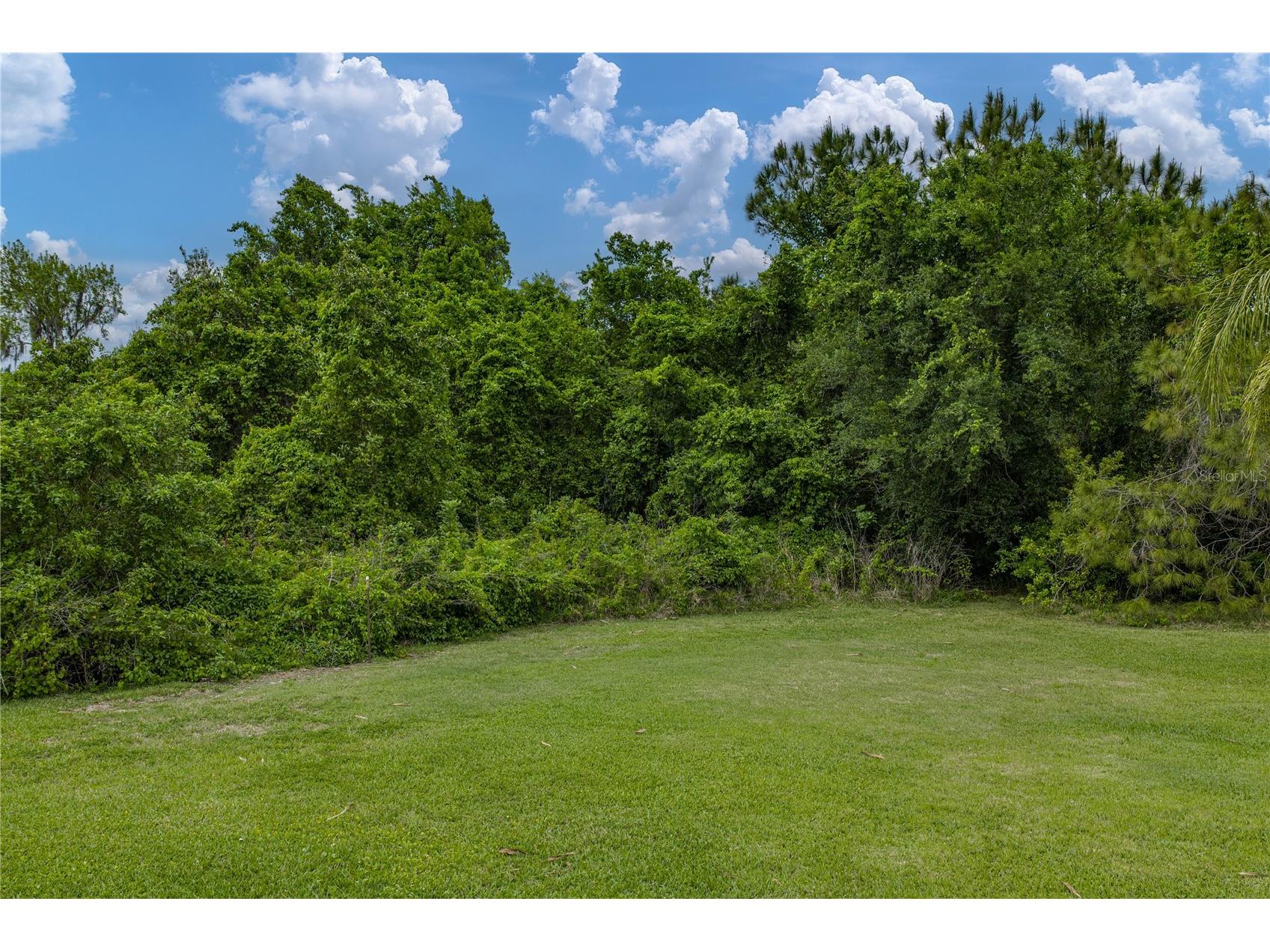 5137 Winged Foot Lane Winter Haven FL 33884 P4938411 image63