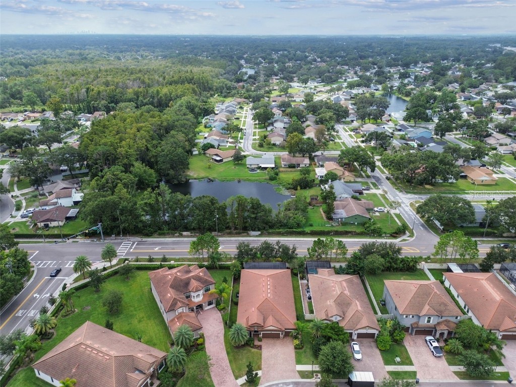 5138 Lakecastle Drive Tampa FL 33624 TB8431632 image2
