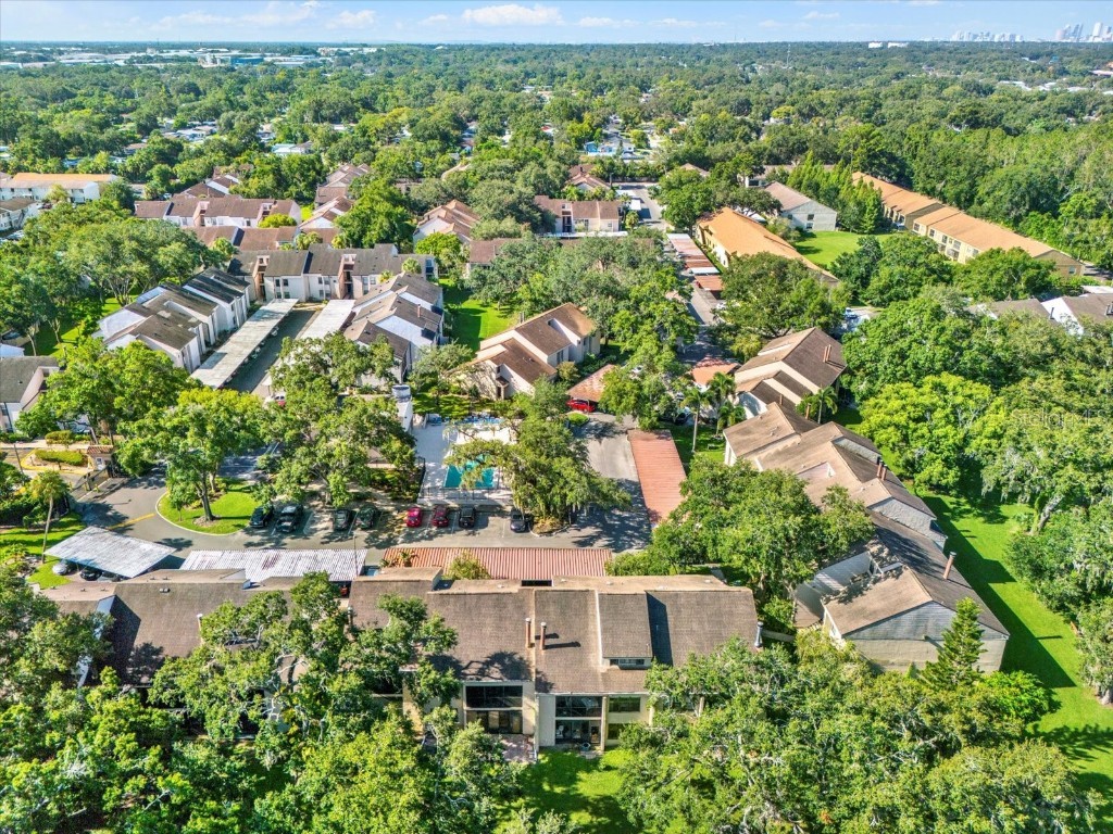 5138 Puritan Circle #1322 Tampa FL 33617 TB8408925 image22