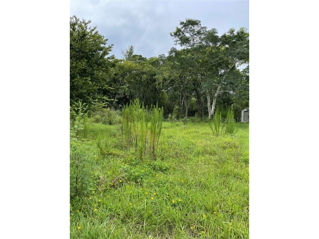 514 2nd Street Oviedo FL 32765 O6199705 image1