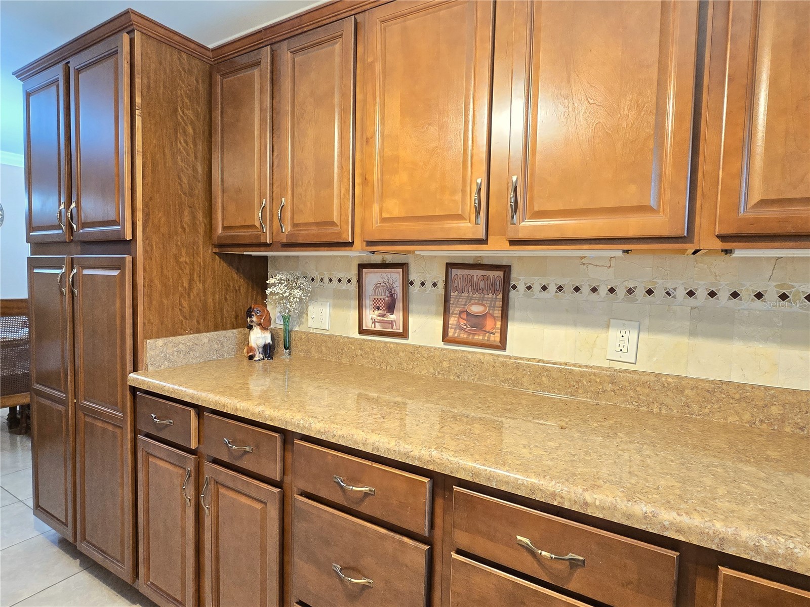 514 Brandon Avenue Clearwater FL 33765 TB8510771 image12
