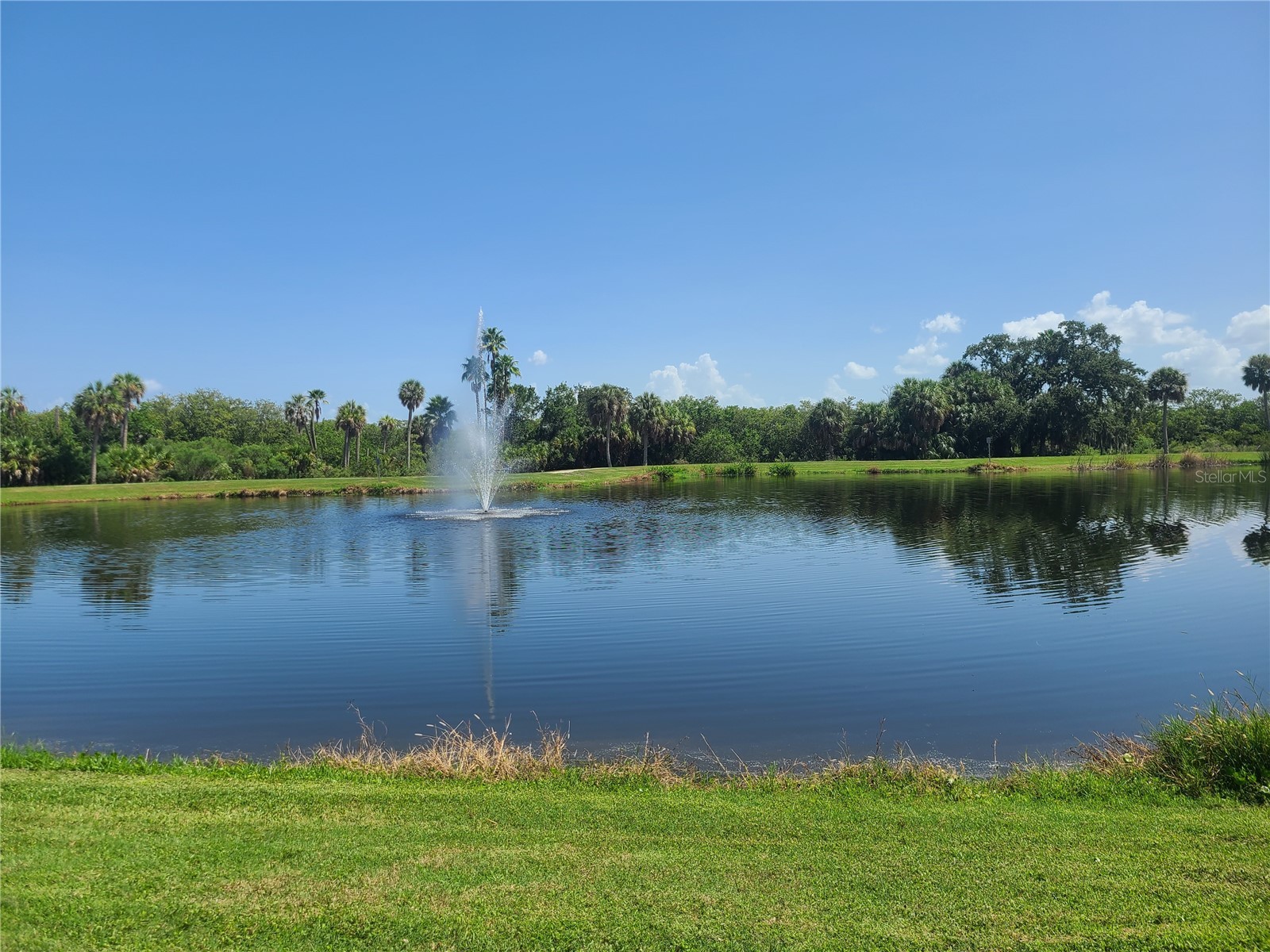 514 Brandon Avenue Clearwater FL 33765 TB8510771 image57