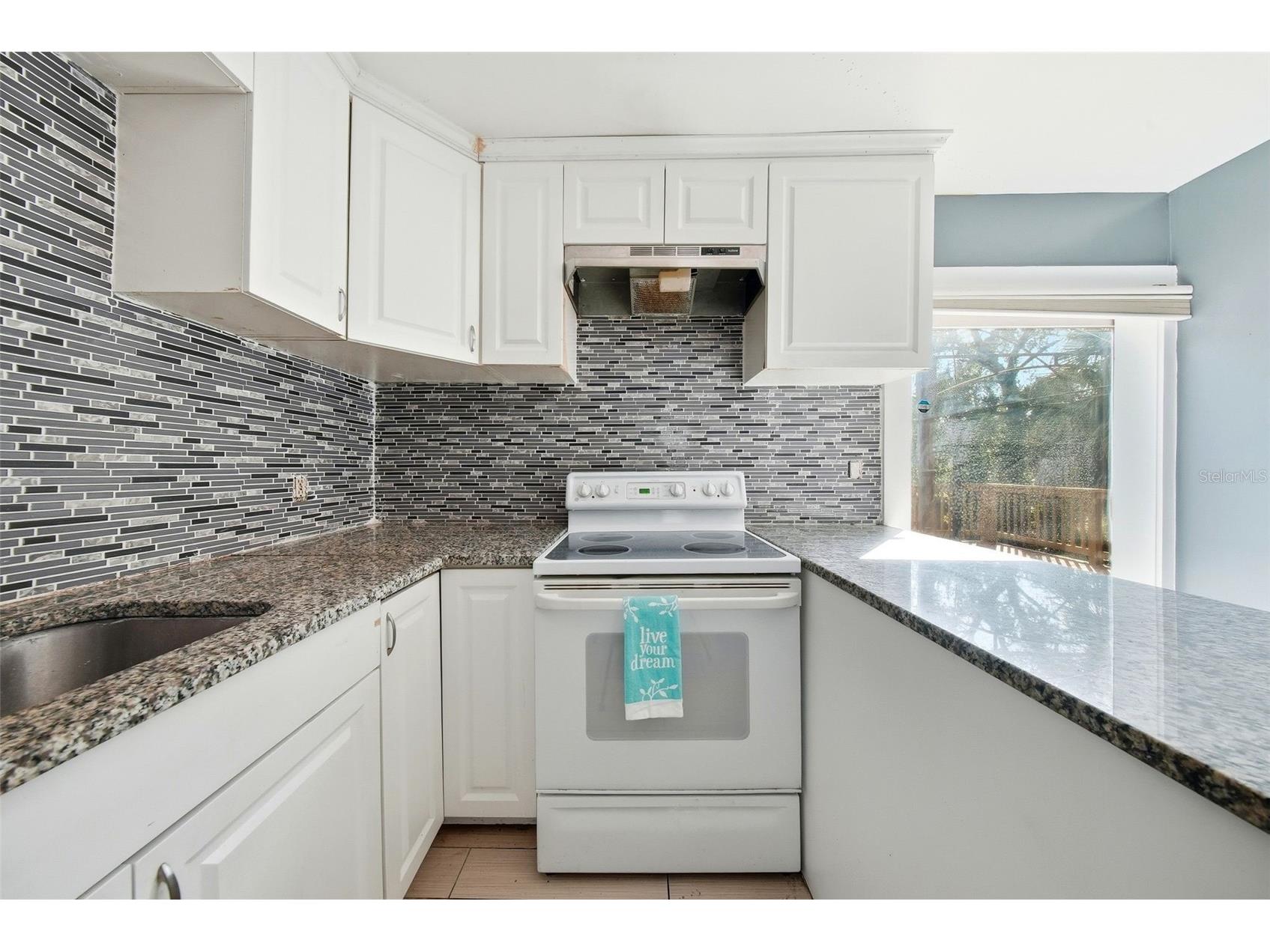 514 E Morgan Street Tarpon Springs FL 34689 TB8476416 image9