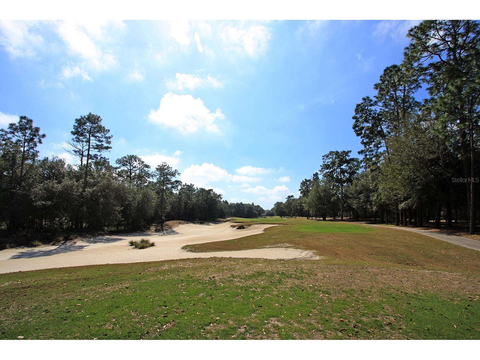 514 Heron Point Way Deland FL 32724 O6414927 image52
