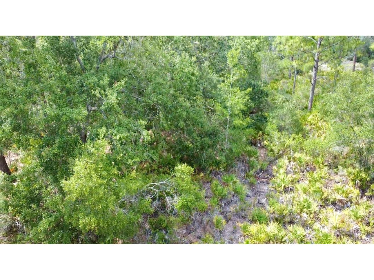 514 Indian Lake Drive Indian Lake Estates FL 33855 O6310590 image10