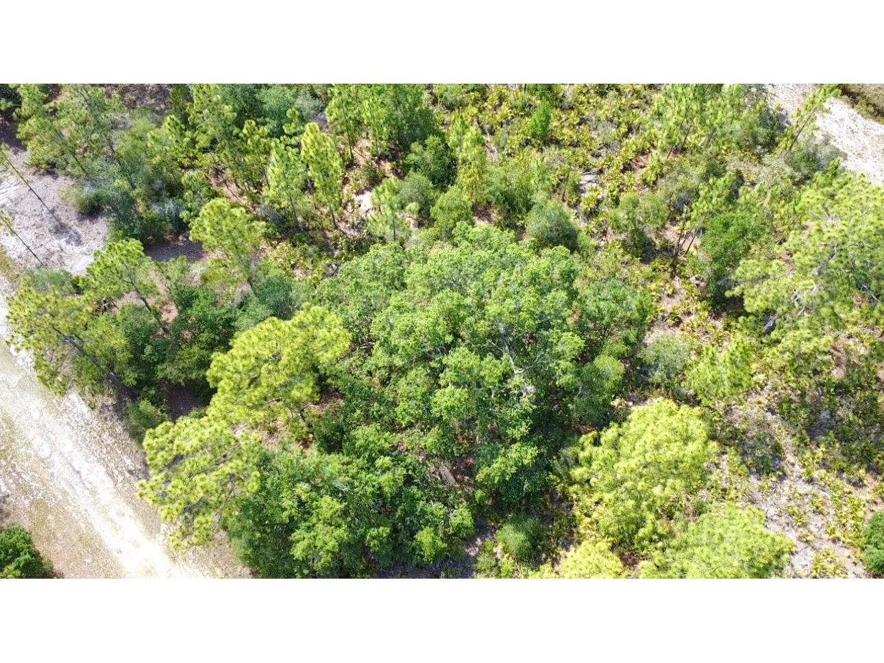 514 Indian Lake Drive Indian Lake Estates FL 33855 O6310590 image11