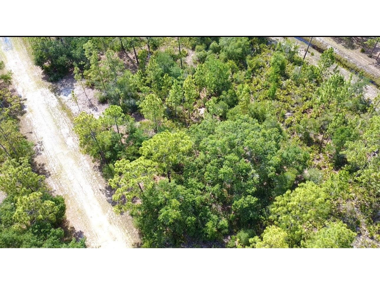 514 Indian Lake Drive Indian Lake Estates FL 33855 O6310590 image12