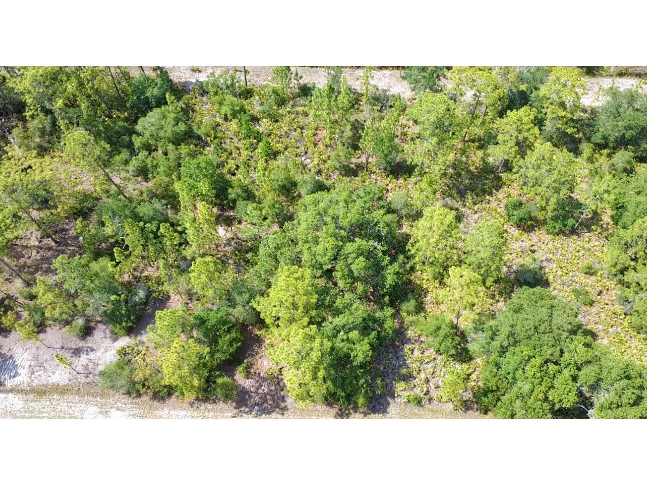 514 Indian Lake Drive Indian Lake Estates FL 33855 O6310590 image14