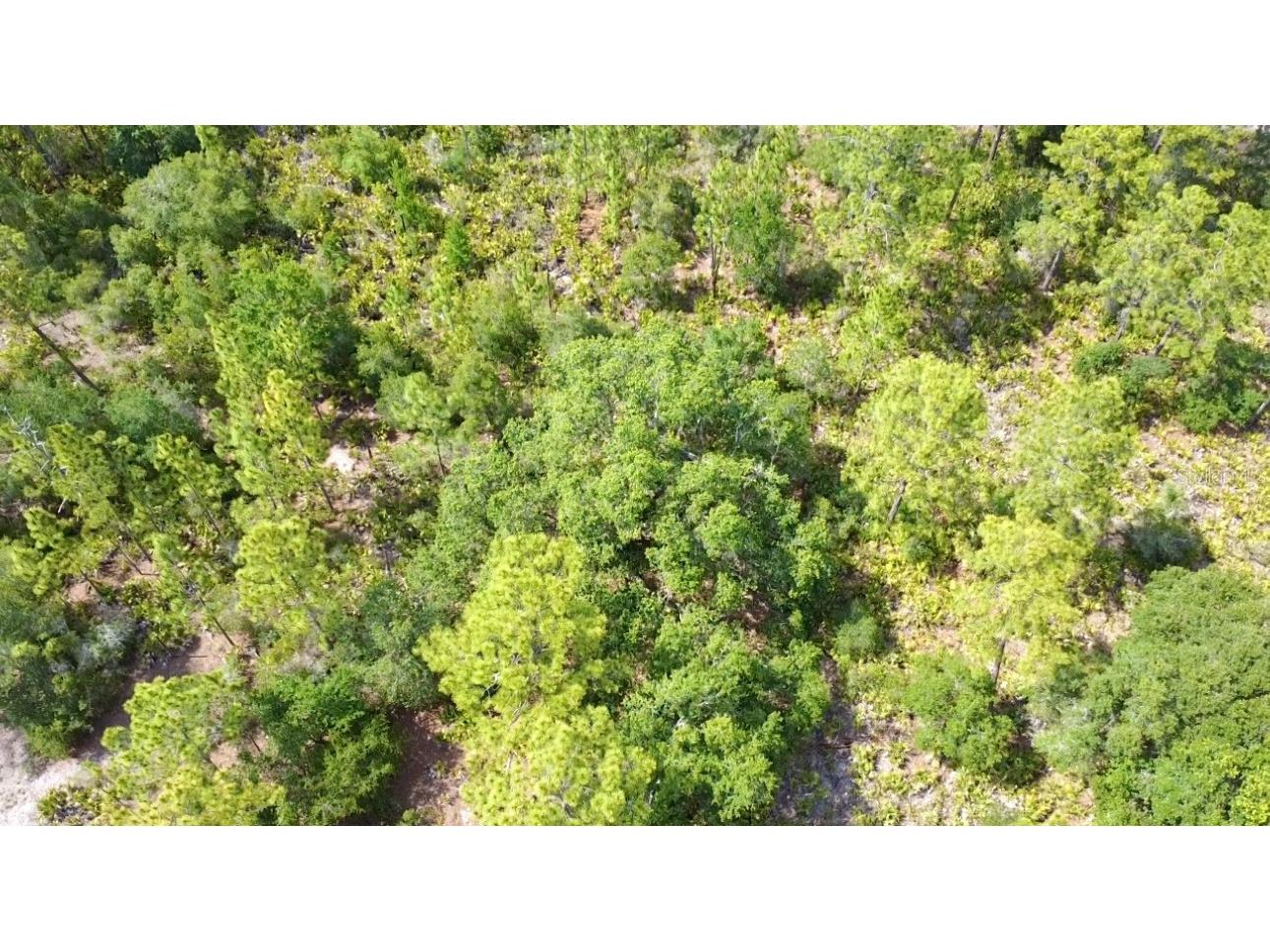 514 Indian Lake Drive Indian Lake Estates FL 33855 O6310590 image15