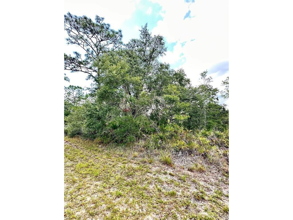 514 Indian Lake Drive Indian Lake Estates FL 33855 O6310590 image2